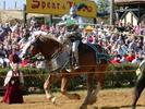 [Ren Faire]