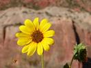 [Utah]